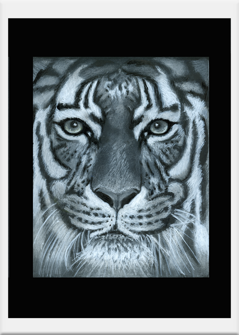 Charcoal Pastel: Tiger