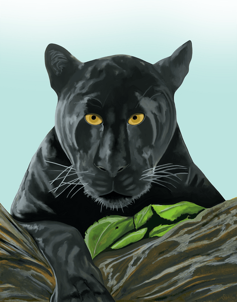 Black Panther Art Print - Conversation Art Pieces