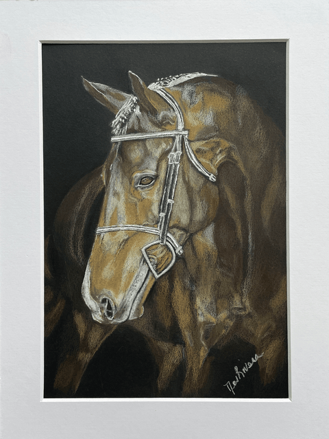 Charcoal Pastel Drawing: Brown Horse - Conversation Art Pieces
