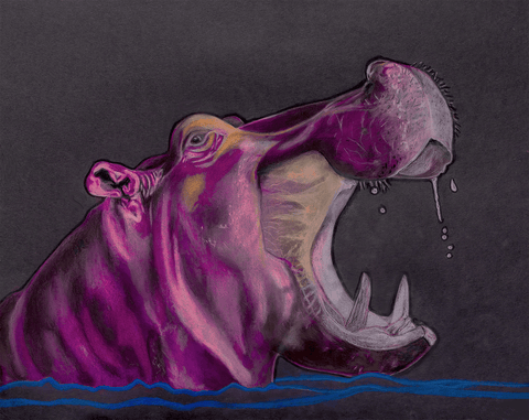 Hippo in water - Conversation Art Pieces