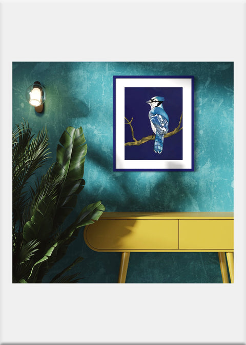 Blue Jay Art Print - Conversation Art Pieces