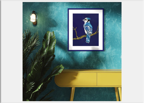 Blue Jay Art Print - Conversation Art Pieces