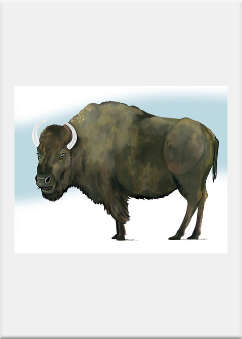 Buffalo Art Print - Conversation Art Pieces