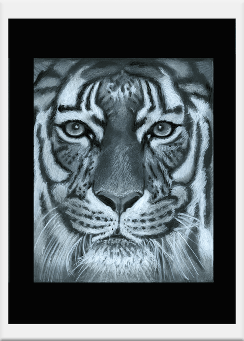 Charcoal Pastel: Tiger - Conversation Art Pieces