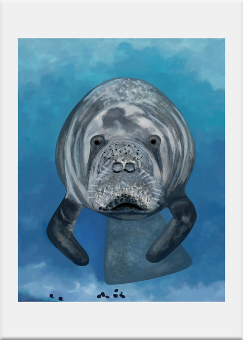 Manatee - Conversation Art Pieces