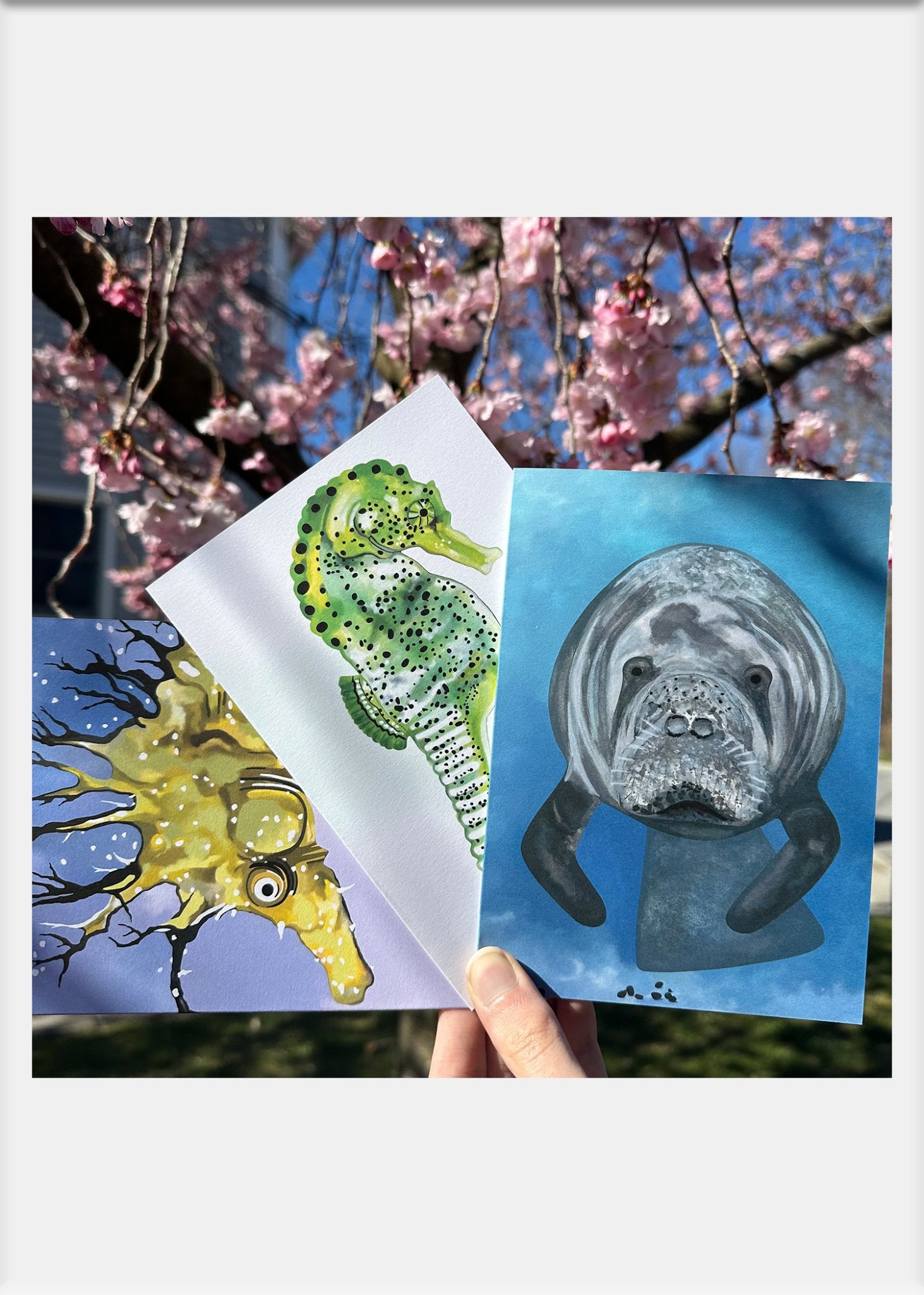 Manatee Greeting Card - Conversation Art Pieces