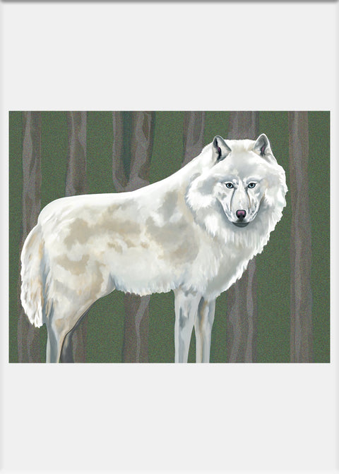 White Wolf Art Print - Conversation Art Pieces